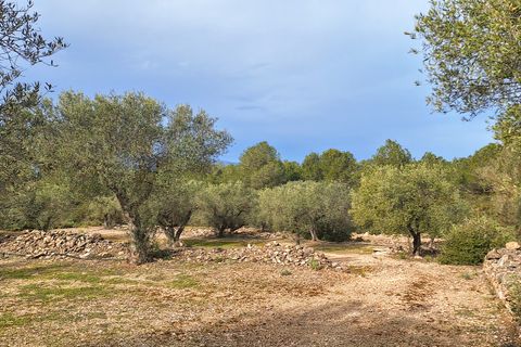 Terreno en Ginestar, Tarragona, Ginestar - € 21.000 | Ref: CC736 - photo 7